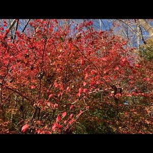 Meet your Posher, Rocío